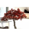 BUJIN-HI - BONSAI 45CM